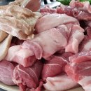 마시기통차 디트뉴스24