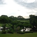 일로일로 이미지