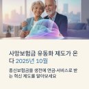 코리아약국 | 사망보험금을 미리 받는다? 종신보험 사망보험금 유동화 대상 보험과 신청 절차