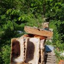 세종양봉백화점 이미지