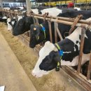 장성목장 이미지