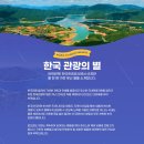 아스테리아펜션 | 6월 국내 여행지 추천 평창 여행 백룡동굴 탐사 &amp; 옐로우트리카페 w 여행가는 달
