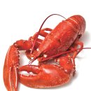 하루byH 이미지