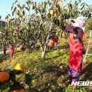 합천인력센터 이미지