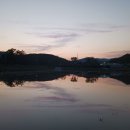 화이트 헤븐 이미지