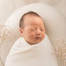 [육아일기1] 포르투나산후조리원 2주 후기 마사지추가 필요하나?
