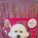 온블리살롱 이미지