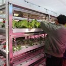 하늘농원 이미지