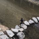 신원로3 이미지