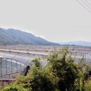 안천농장 이미지