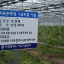 기현2농장 이미지