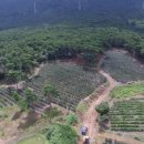 쌍치 농장 이미지