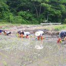 눈비산마을 공동체 농장 이미지