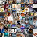 조이힐펜션 | 블로그 인기 포스팅만 모아: 매일 최신의 인기 블로그 포스팅을 한곳에서!! (2025.12.29 12:15)