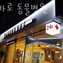 송파바로동물병원 이미지