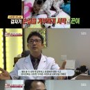 곤이 농장 이미지