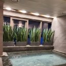 명동목욕탕 이미지