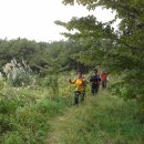 운제산장 이미지