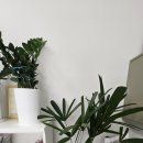 이문공인중개사사무소 이미지