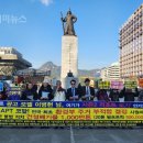 개미광고 이미지