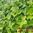 종순농장 이미지