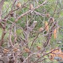 산새체육공원 이미지