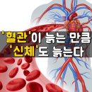 혈관이 늙는 만큼 신체도 늙는다 이미지