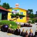 해빵이네 이미지