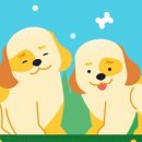 완주특공무술 이미지