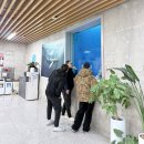 펀라이프 | 오산 TSN 다이빙 풀장 후기 | 프리다이빙 예약 방법부터 입장까지 완벽 가이드! (오산 테마 잠수풀)