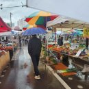 입곡공원 아라힐링카페 | 함안 워케이션 여행(1) 가야시장 5일장, 입곡군립공원, 아라힐링카페 싸이클체험