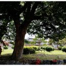 영광 침류정 이미지