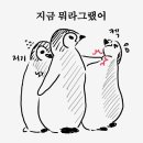 화 - 담양군 | 화
