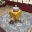 고지농장 | 강릉쌍둥이동물농장 이색데이트 강릉 동해 아이랑 가볼만한곳 추천