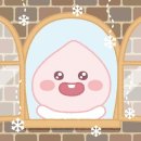 굽굽쿠키