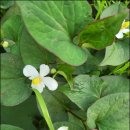 신장농장 이미지