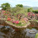 허브밸리(축제장) 이미지