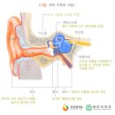 소음성난청 장해등급 및 청력검사[순음청력검사 (pure tone audiometry, PTA)] 이미지