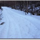 하늘 목장 이미지