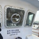 진해 소쿠리섬 겨울에 사슴 보러 당일치기 다녀온 후기