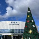 태양다방 | 속초여행 💗 이 코스대로 하면 성공 (고성생선찜/강릉빵다방/초당커피정미소/중앙시장/보헤미안박이추...