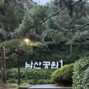 남산빌딩 | 비오는날 남산 케이블카 타기 산책과 서울 야경까지! (feat. 자물쇠)