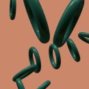 현대종합건재 | 김애란 &lt;안녕이라 그랬어&gt; 책 소개: 상실과 치유를 섬세히 그린 감성 소설집