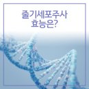 광주 줄기세포피부주사 탄력 증진하는 피부 상태로 이미지