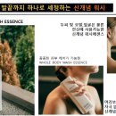 워시홀 이미지