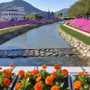 양지천3 이미지