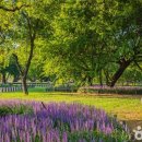 부산평화시장(전통시장) 이미지