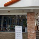 오베르망 이미지