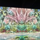 PUPPY HILL'S 이미지