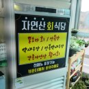 카카오 이미지